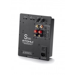 S 250 amplifier module