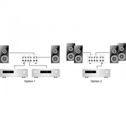 Dispatch 2 amp - 1 pair of speakers