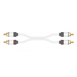 Câble RCA(x2) - RCA(x2) - Moniteur (1m)
