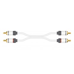 Câble RCA(x2) - RCA(x2) - Moniteur (1m)