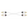 Câble RCA(x2) - RCA(x2) - Moniteur (1m)