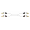 Câble RCA(x2) - RCA(x2) - Moniteur (1m)