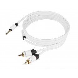 Câble Jack 3.5 - RCA (x2) - Moniteur (1m50)