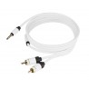 Câble Jack 3.5 - RCA (x2) - Moniteur (1m50)