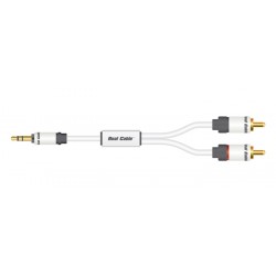 Câble Jack 3.5 - RCA (x2) - Moniteur (1m50)