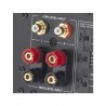 S 250 amplifier module