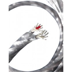 Genesis silver spiral