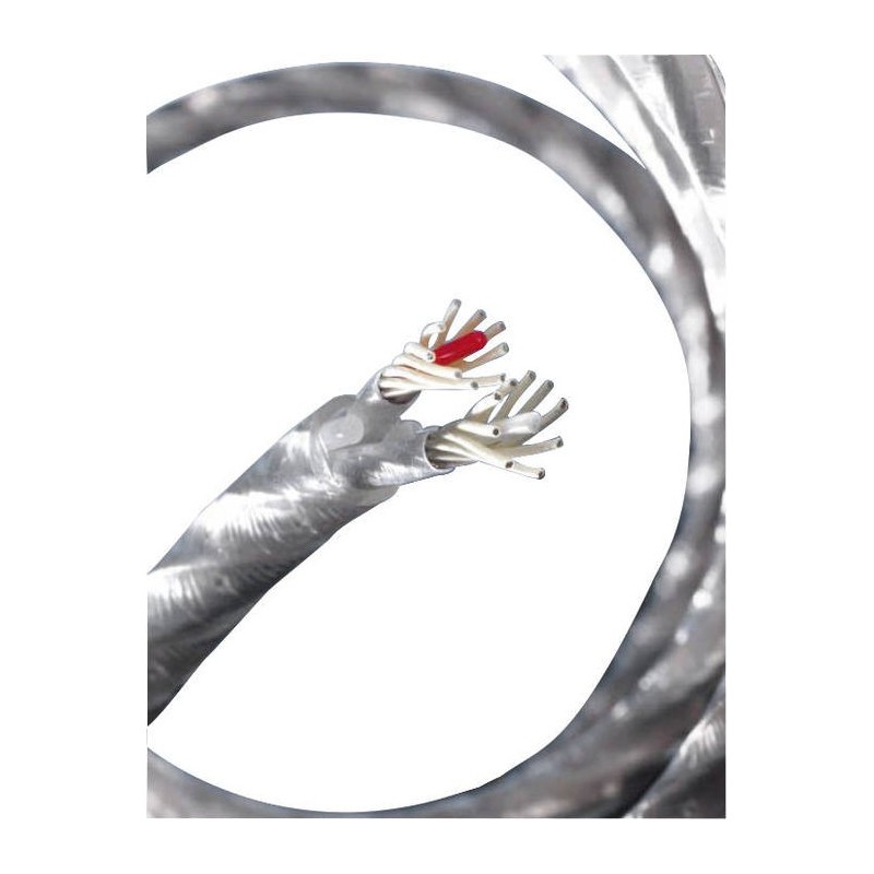 Genesis silver spiral Genesis silver spiral