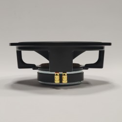 10" ESS