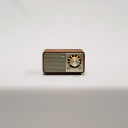 Radio FM/BT WR-7