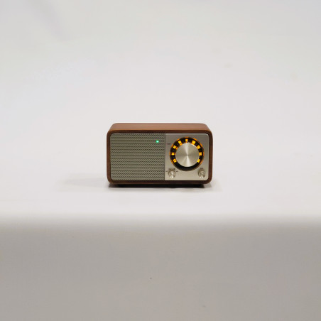 Radio FM/BT WR-7