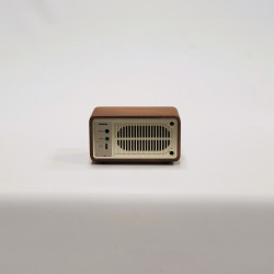 Radio FM/BT WR-7
