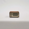 Radio FM/BT WR-7
