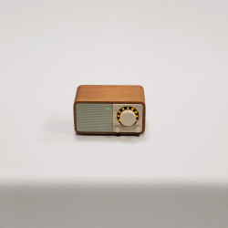 Radio FM/BT WR-7