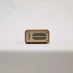 Radio FM/BT WR-7