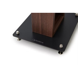Pied Alva plus 66cm (la paire)