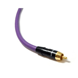 Câble RCA - Purple MDSW