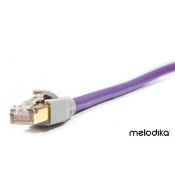 Câble RJ45 - Purple MDLAN