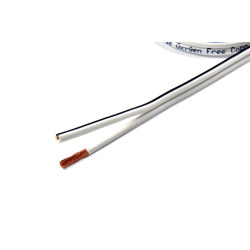 Câble Haut-parleur BWC2150