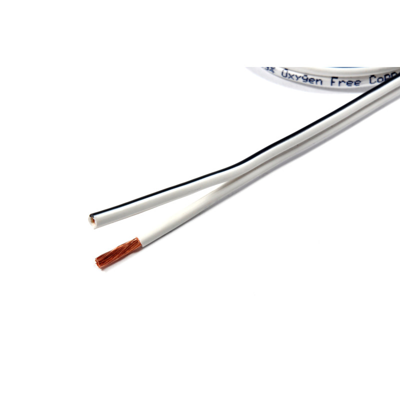Câble Haut-parleur BWC2250
