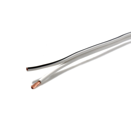 Câble Haut-parleur BWC2400