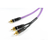 Câble Subwoofer - Purple MDSWY