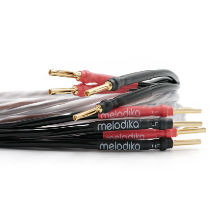 Câble HP - Brown Sugar BSBA225 (La paire)