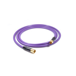 Câble Antenne - Purple MDANTGW
