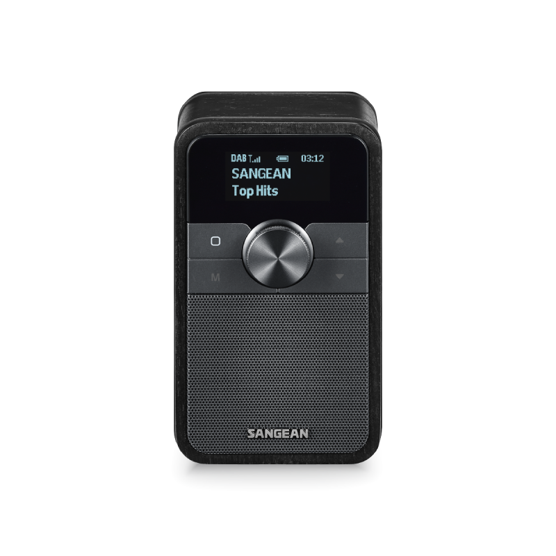 Radio FM/DAB+/BT DDR-8